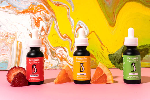 what does cbd taste and smell like