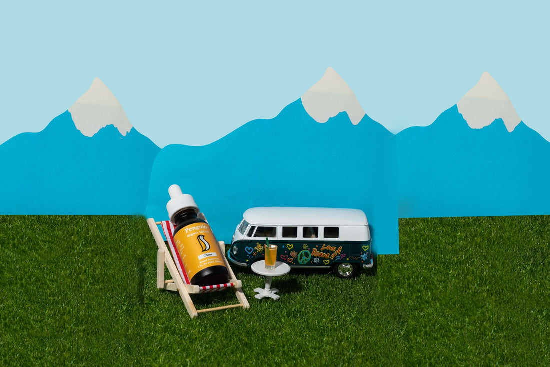 cbd in daily routine