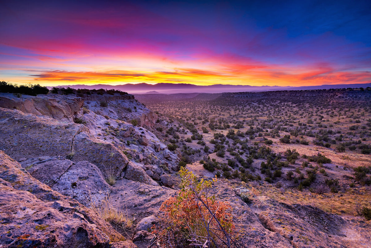 cbd oil in new mexico